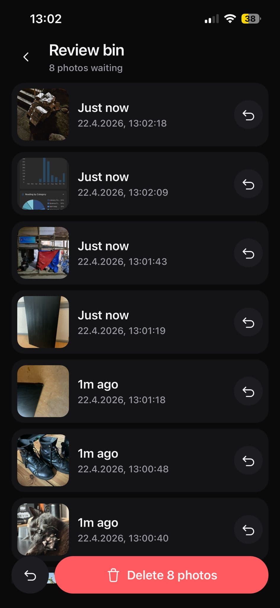 SnapBin review bin screenshot