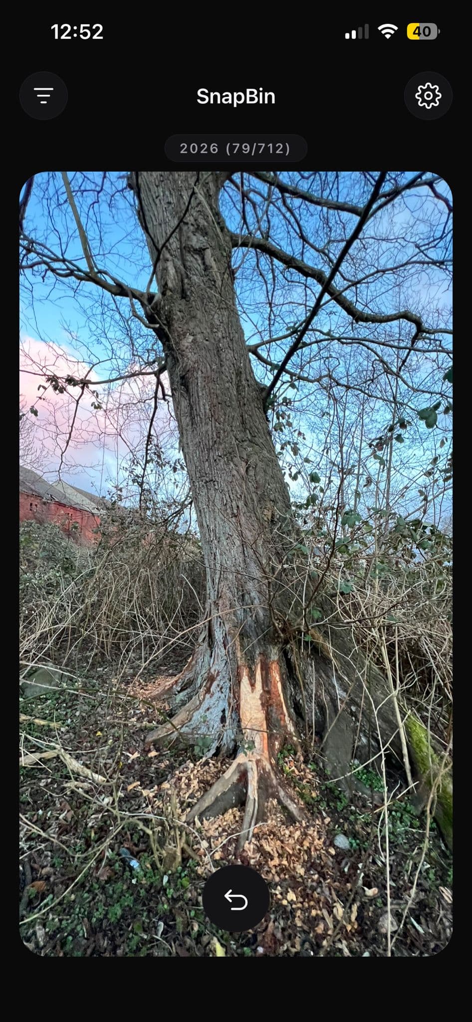 SnapBin swipe session screenshot